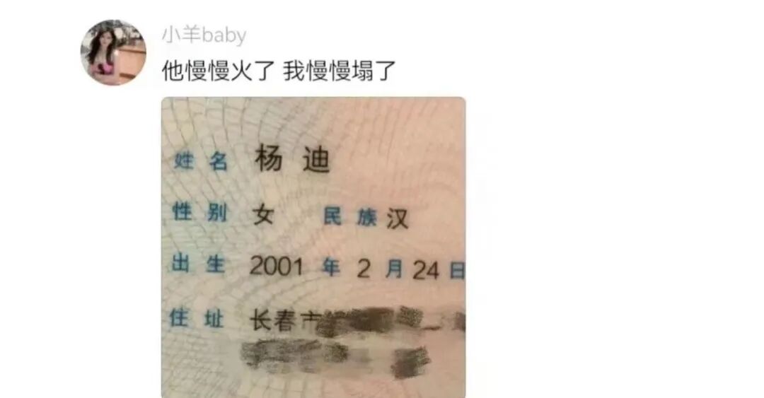 Word文档图片