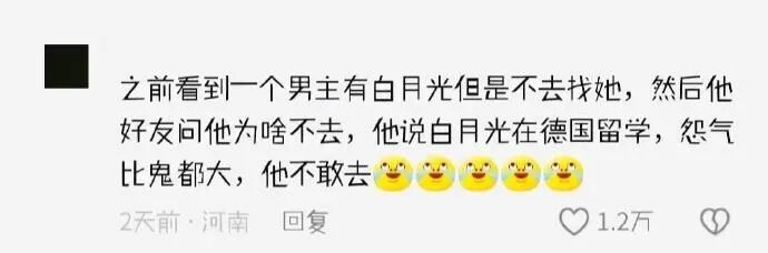 Word文档图片