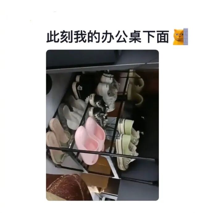 Word文档图片