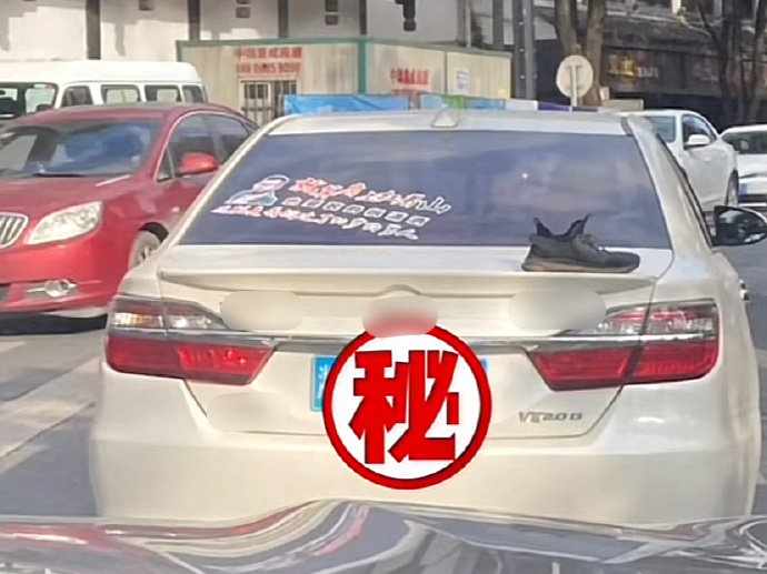 Word文档图片