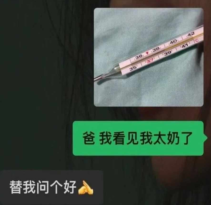 Word文档图片
