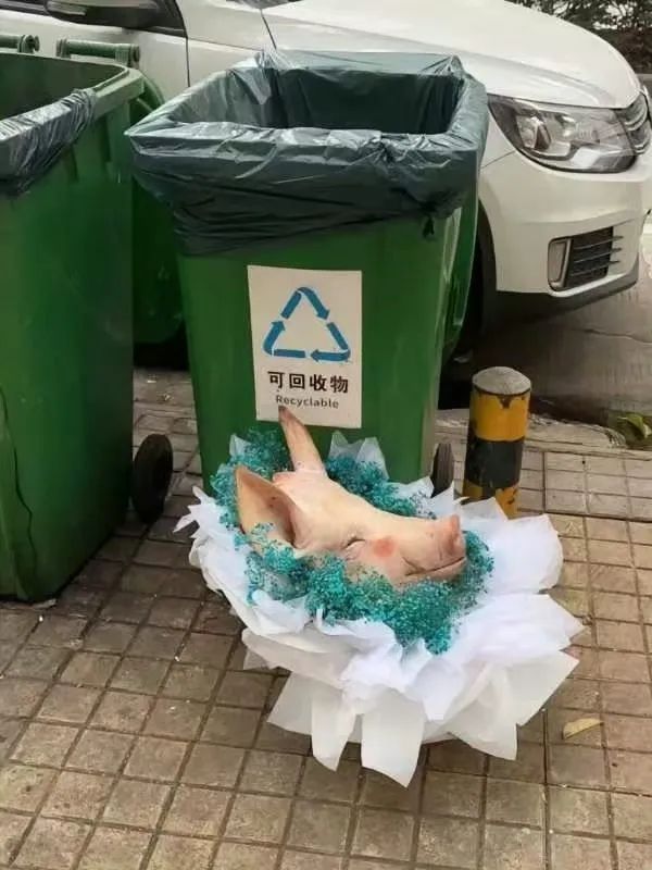 Word文档图片