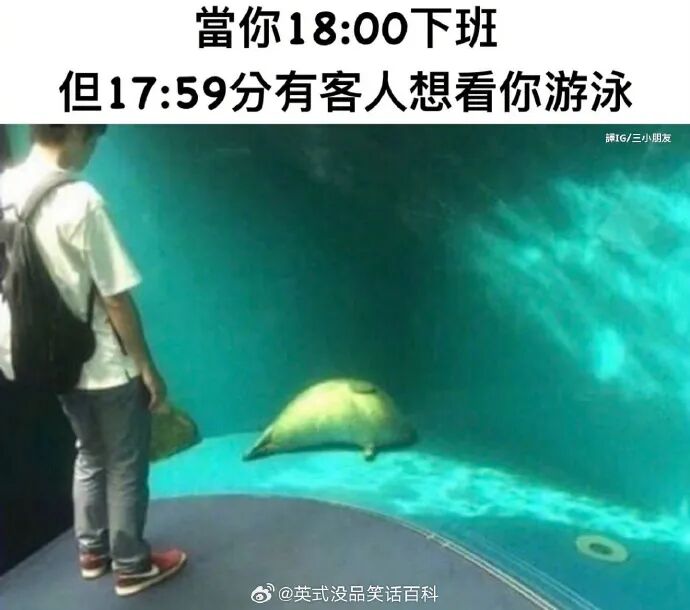 Word文档图片