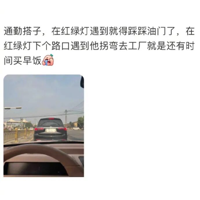 Word文档图片