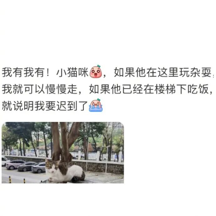 Word文档图片