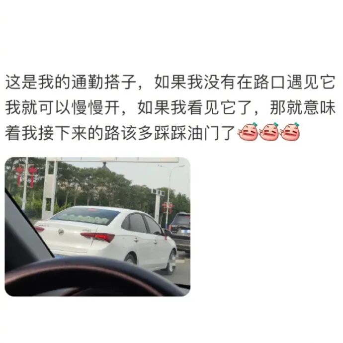 Word文档图片