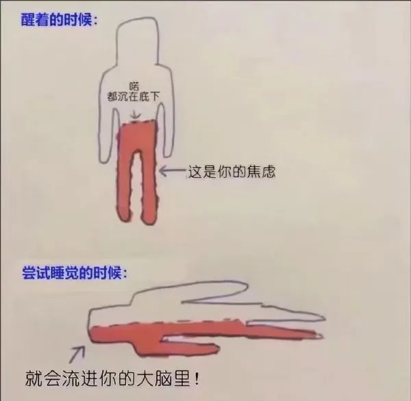 Word文档图片