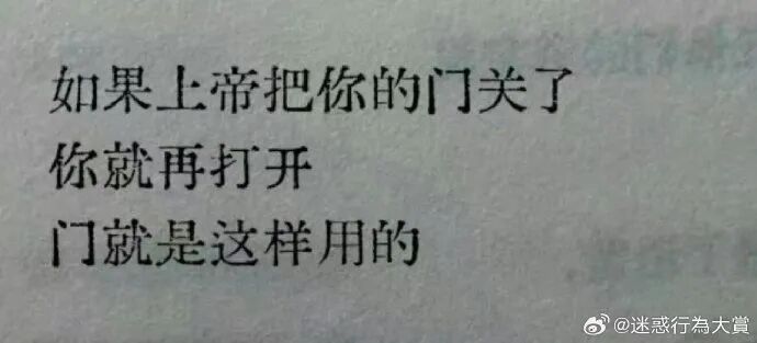 Word文档图片