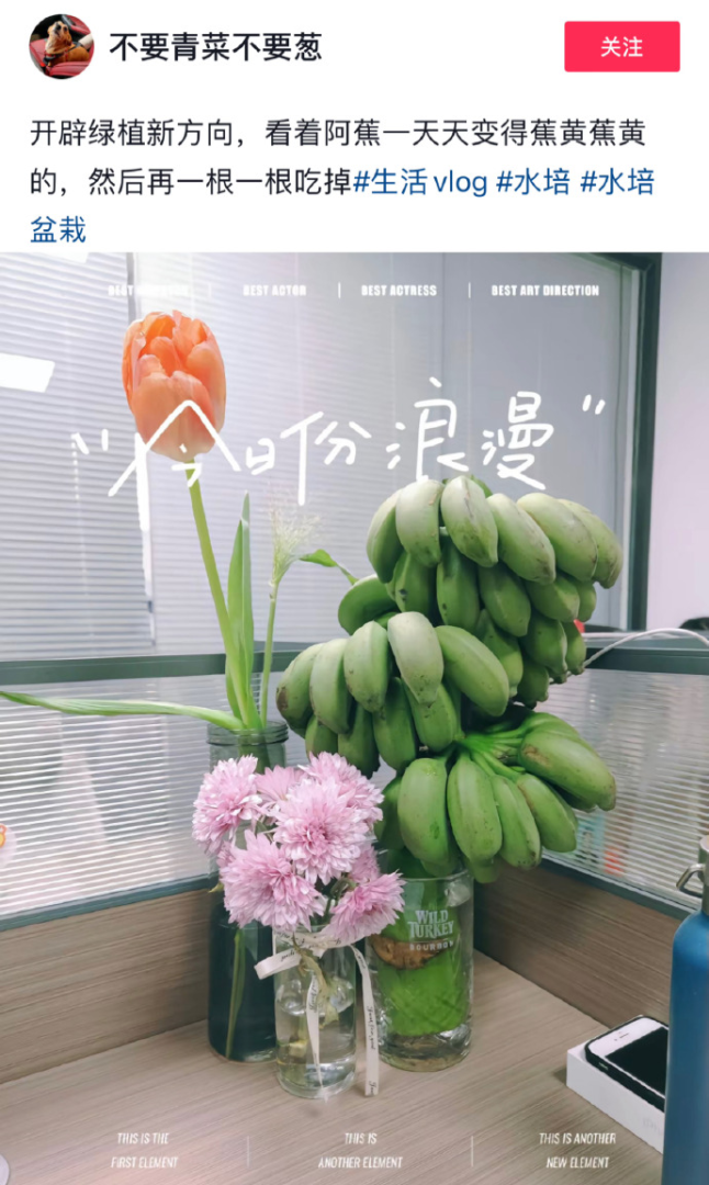 Word文档图片