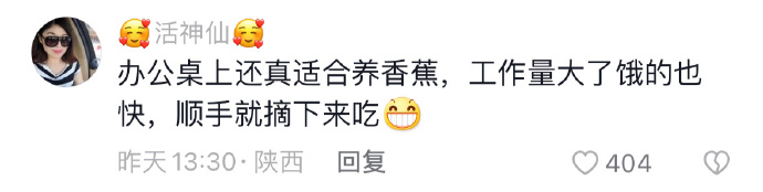 Word文档图片