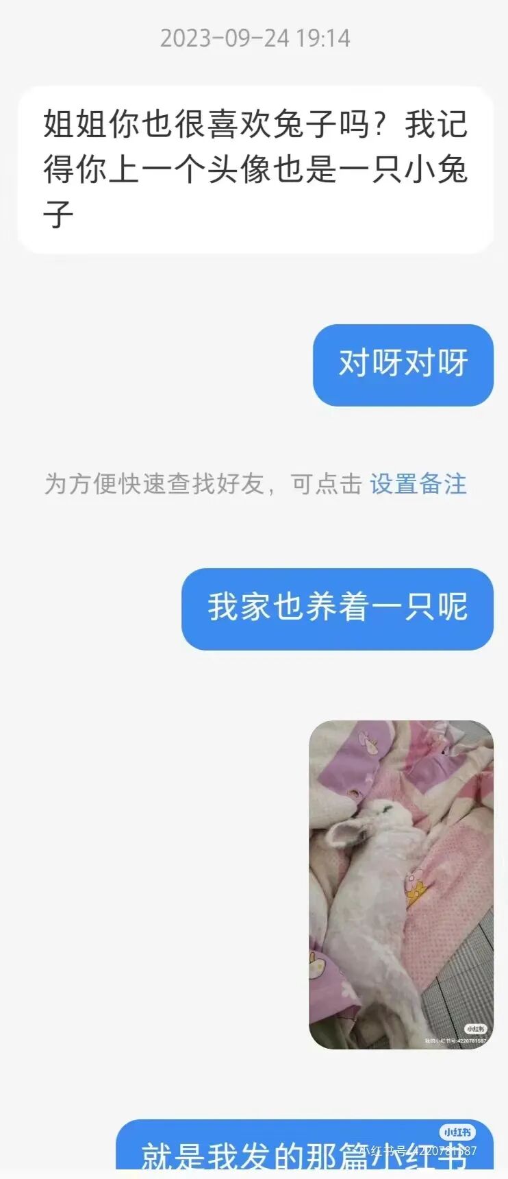 Word文档图片