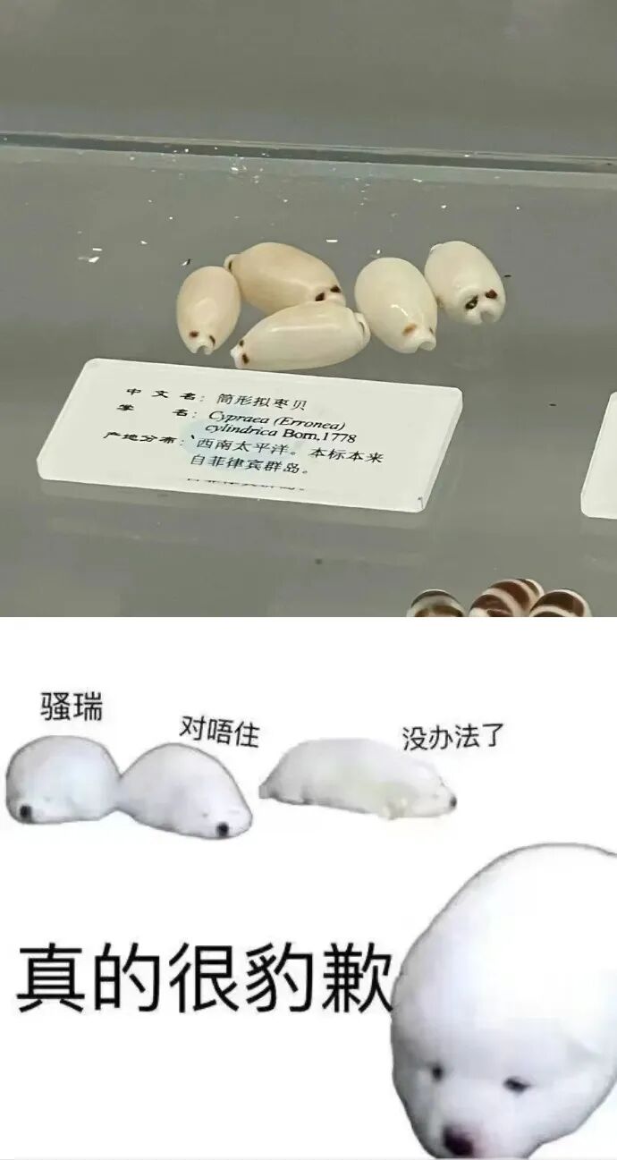 Word文档图片